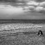 Кучето и морето