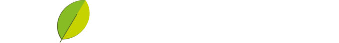 20 години Фотосинтезис