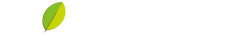 20 години photosynthesis