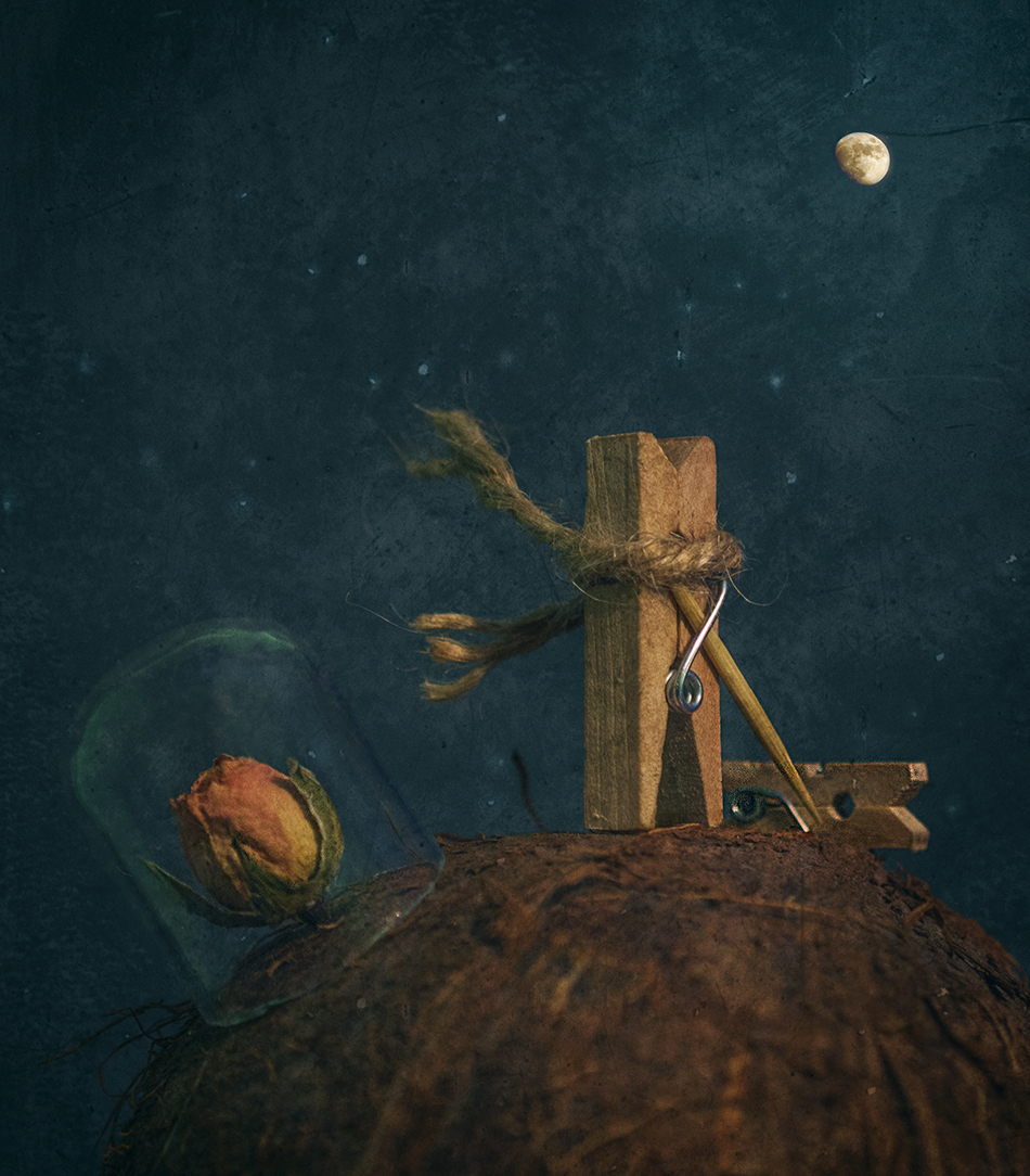 You are my rose - unique in all the word ...