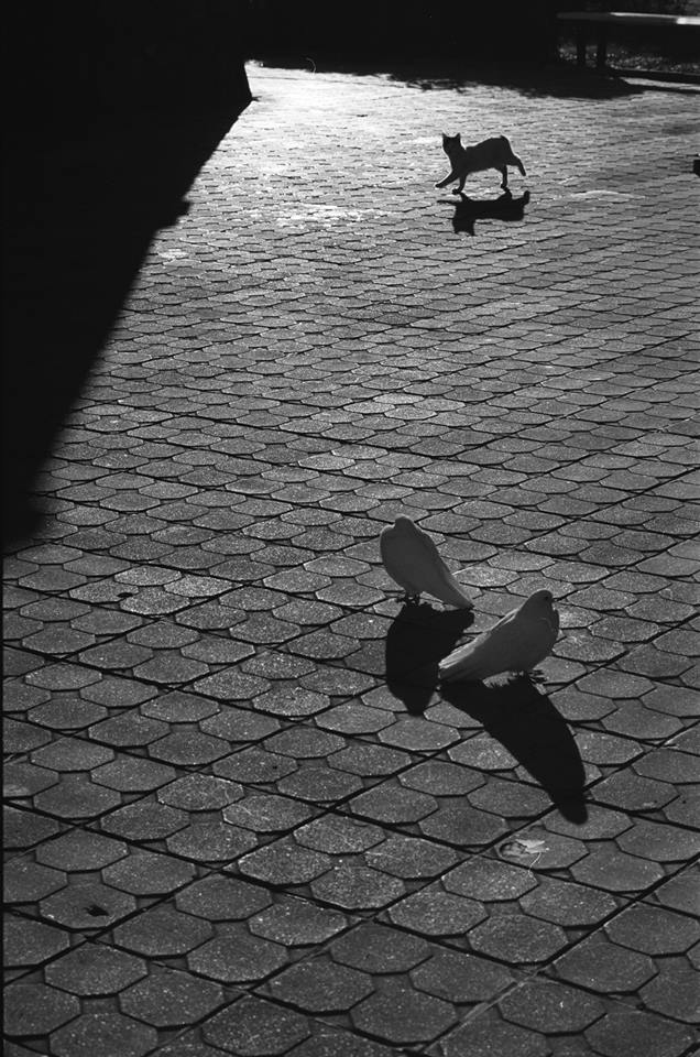 Silent Moments