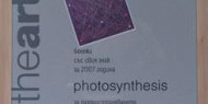 PhotoSynthesis получи знака на Stalker за 2007 г.