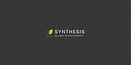 Exhibitions at Synthesis Gallery / 2013 - 2024