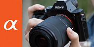Седмица на Феновете на Sony във ФотоСинтезис Арт Център / 10-16 ноември 2014