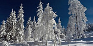 Зима в Рила - фотопленер 25-27 януари 2013 / Боровец