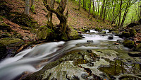 Дивите пътеки и водопади на Северозападна България - фотопленер / 17-18 май 2014 