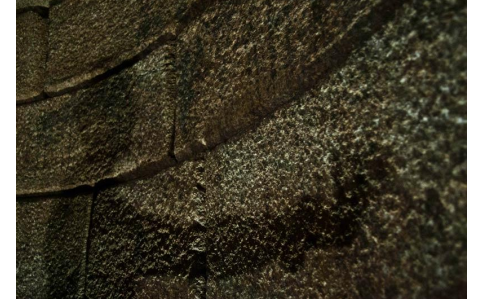 ОСВОБОЖДАВАНЕ НА СЯНКАТА / 2012