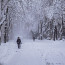 Зимата в Силистренския край