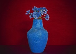 Синята ваза  3