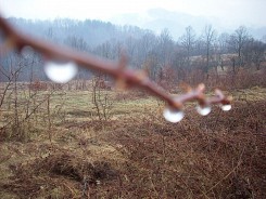 Дъждовно време