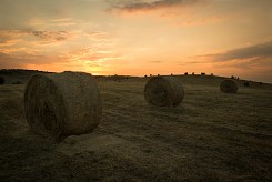 Залез в полите на София 