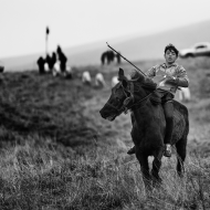  Don Kihot от село Лисичково 