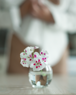 Пролетни дарове