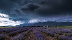 В очакване на бурята