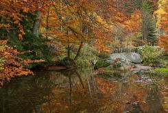 Есен по Владайската река II