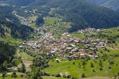 село Ягодина