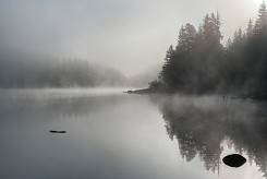 Развиделяване