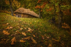 Паднали листа ....като отминалите дни на нашия живот