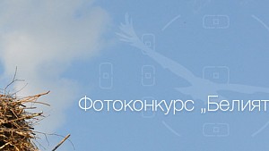 Победителите в он-лайн етапа на фотографския конкурс 