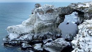 Представяне на книга и фото изложба “Каменният бряг - дивото сърце на Черно море” с автори Николай Генов и Румяна Николова / 17.12.2015, 19:00 ч. / София