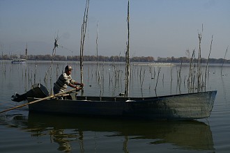 Броди в пустошта