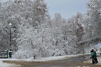 Снежна приказка 