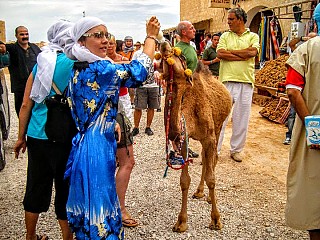 Атракция или оцеляване