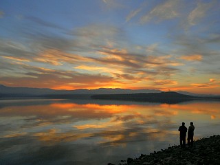 Палитрата на залеза