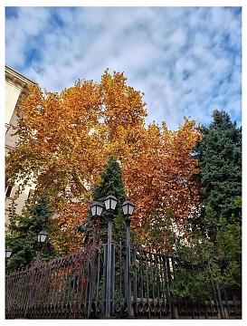 Есен в града- 2022г.