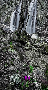 Боянския водопад