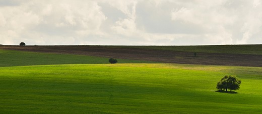 В зелено