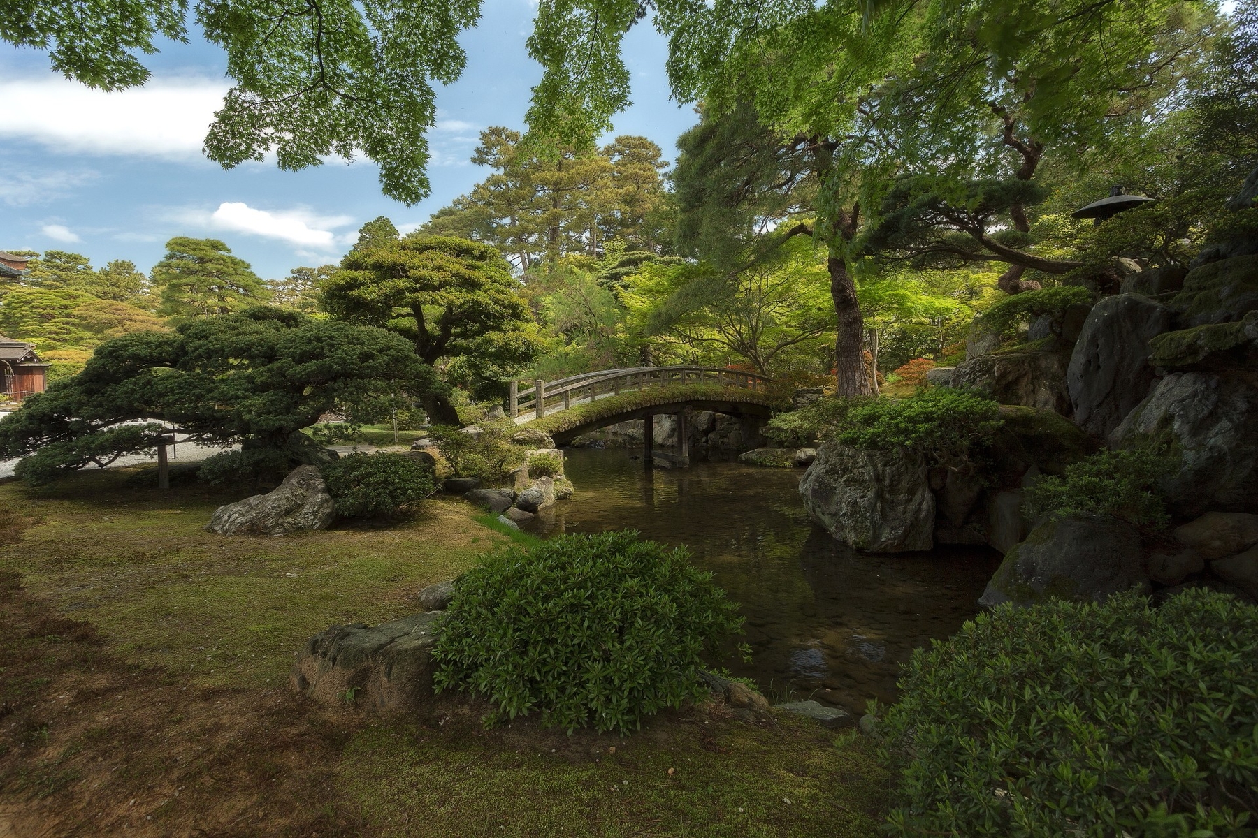 Kyoto - фотография от Александър Сандев | Фотосинтезис