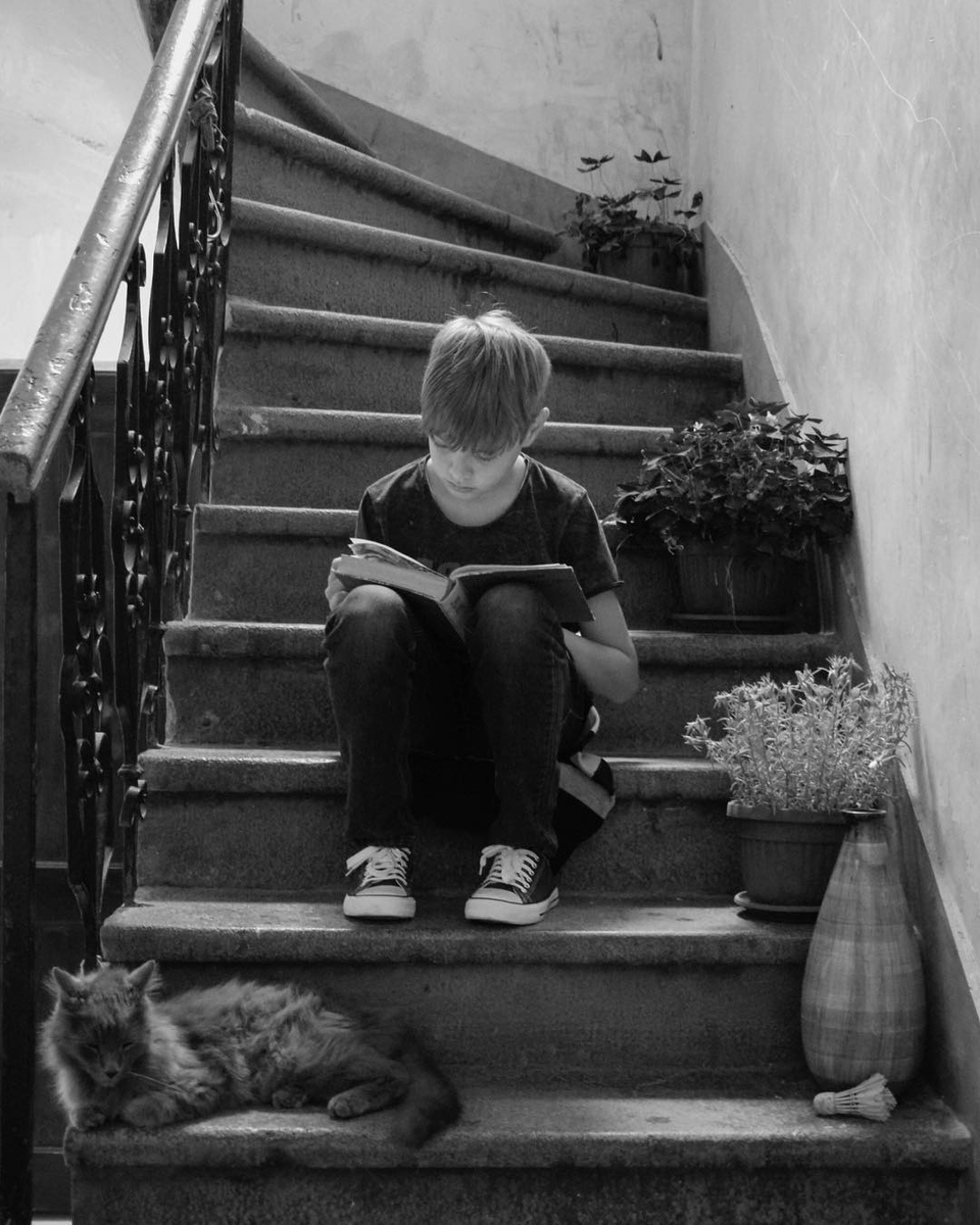 Момчето,четящо Дарвин в котешка компания