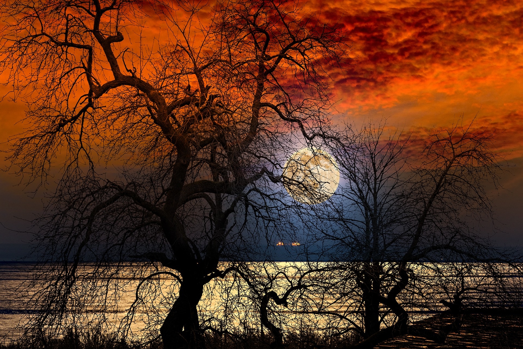 Scene from a Dream