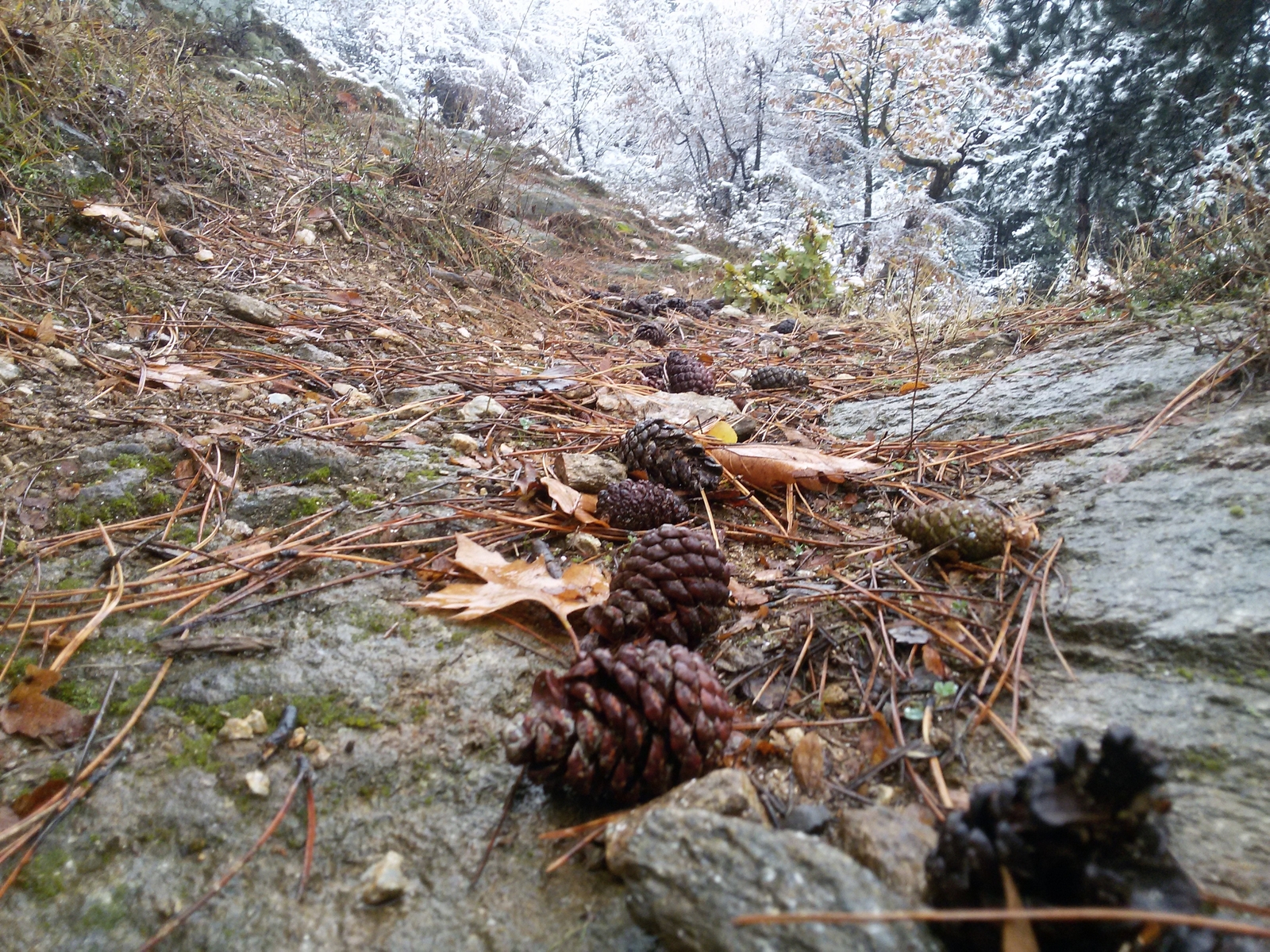 Есенно-зимен пейзаж
