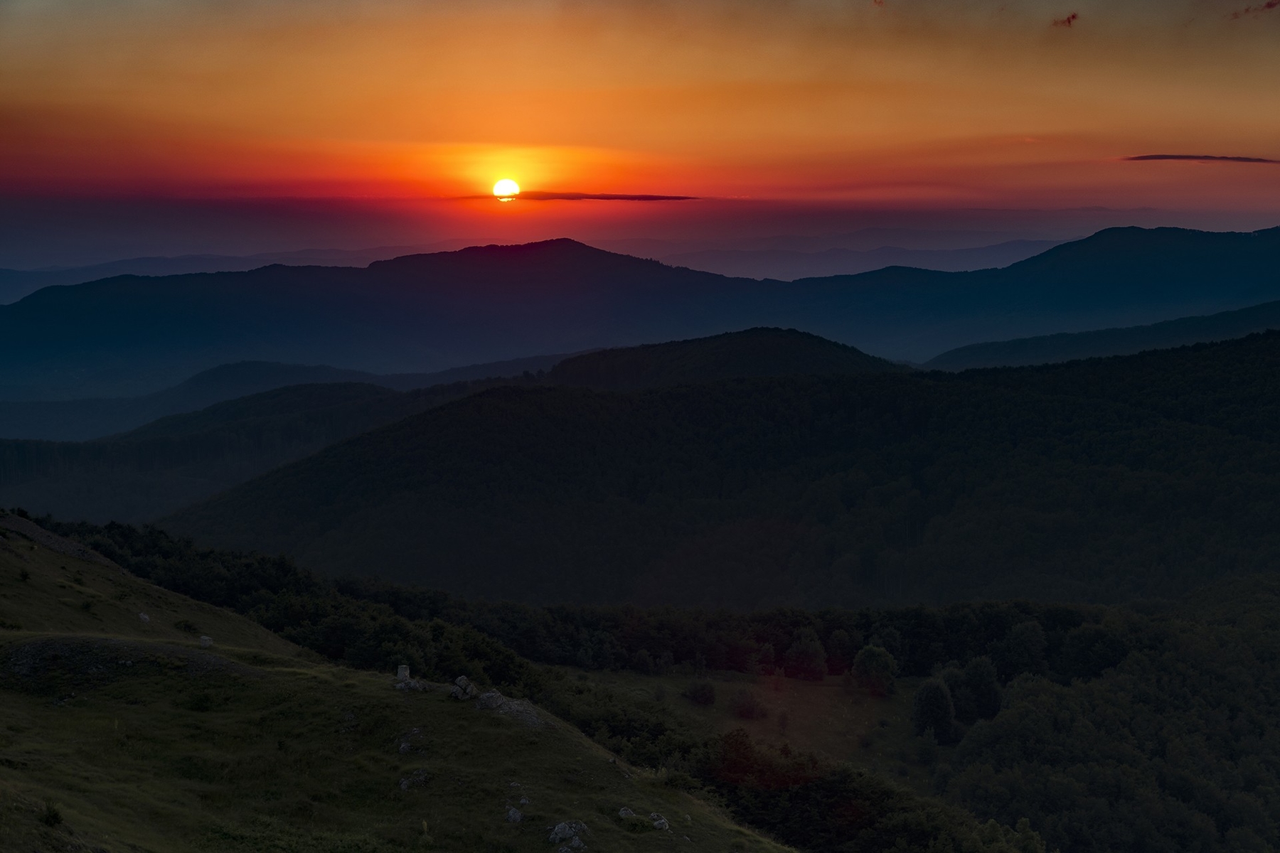 July morning 