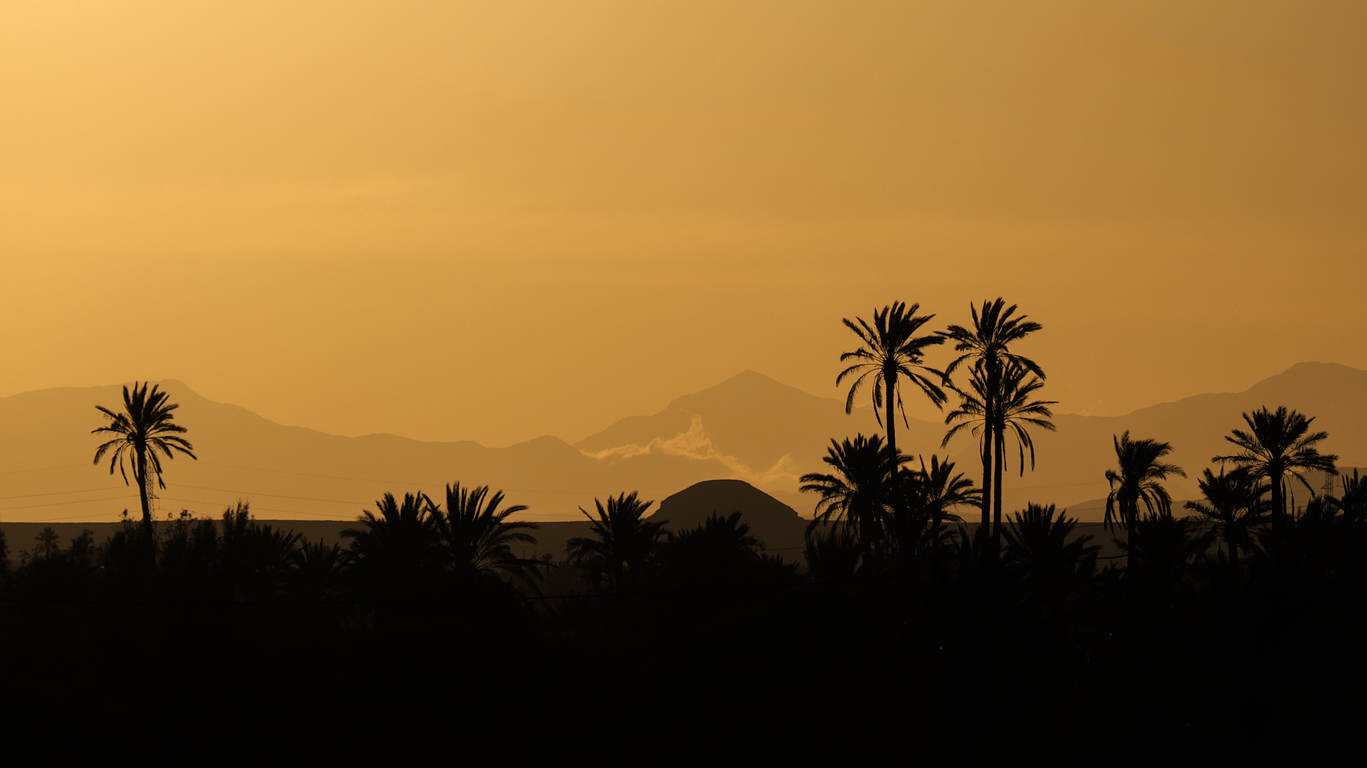 Oasis silence