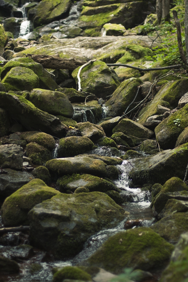 Creek...